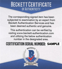Load image into Gallery viewer, Dennis Rodman Signed Chicago Bulls Jersey (Beckett COA) (Size: XL)